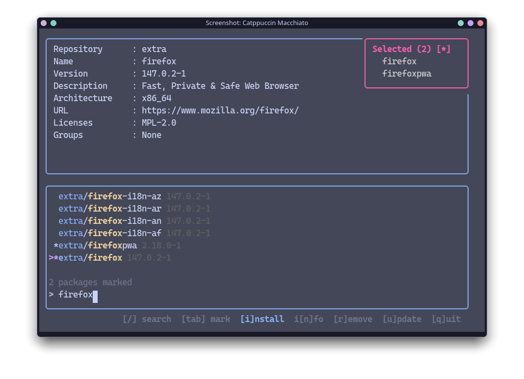 catppuccin macchiato theme in gaur
